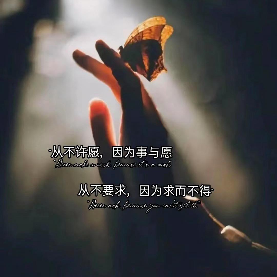 🌸莎莎莎莎莎🧸
