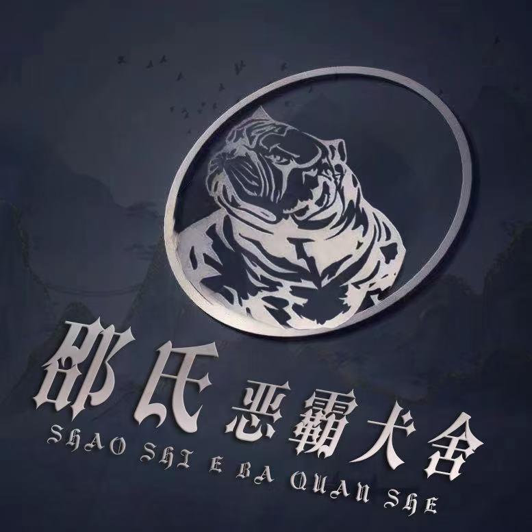 江苏邵氏恶霸犬繁殖基地(直播账号)