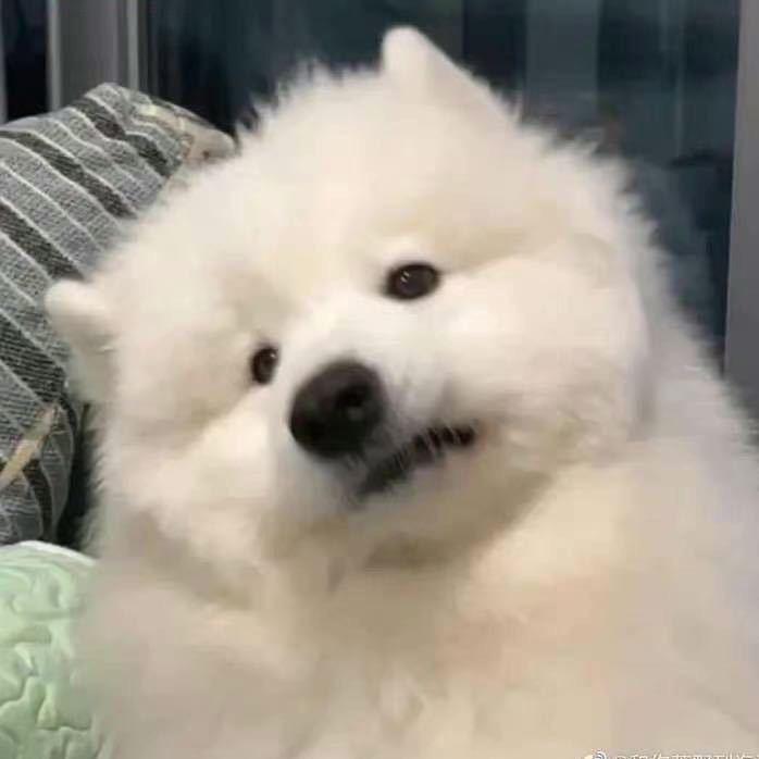 别烦我