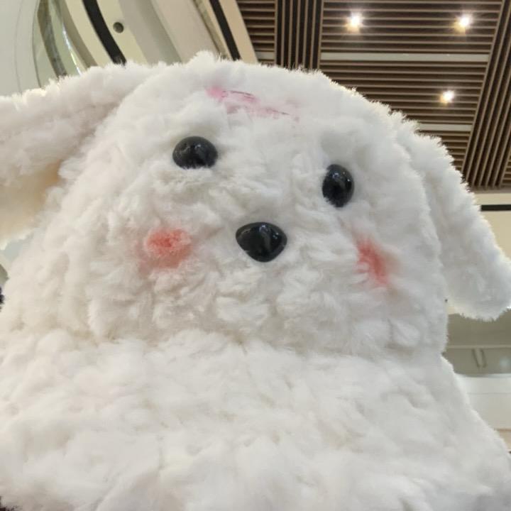 姐姐（自律版已瘦50斤）