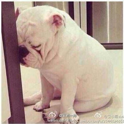 弱智之王Orz…
