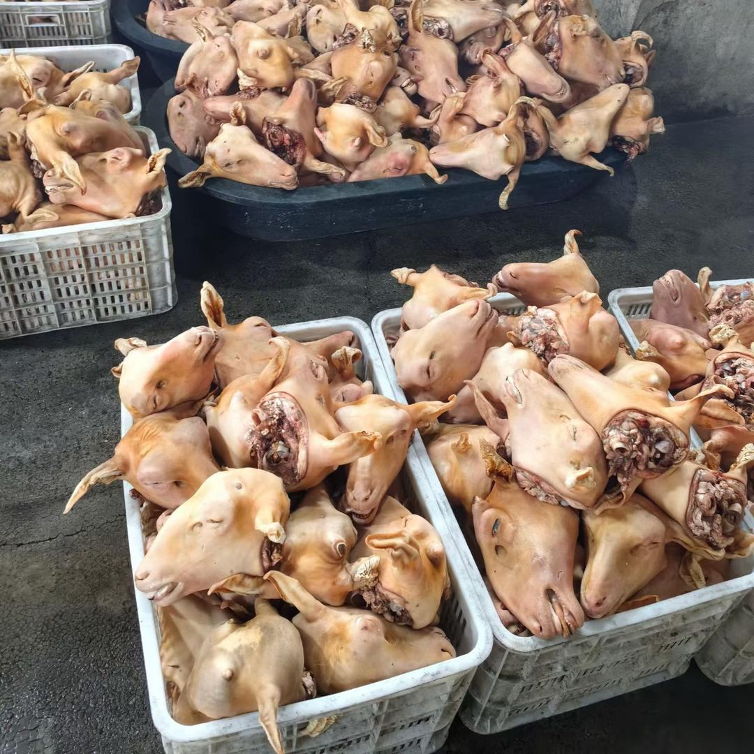 羊副产品加工厂