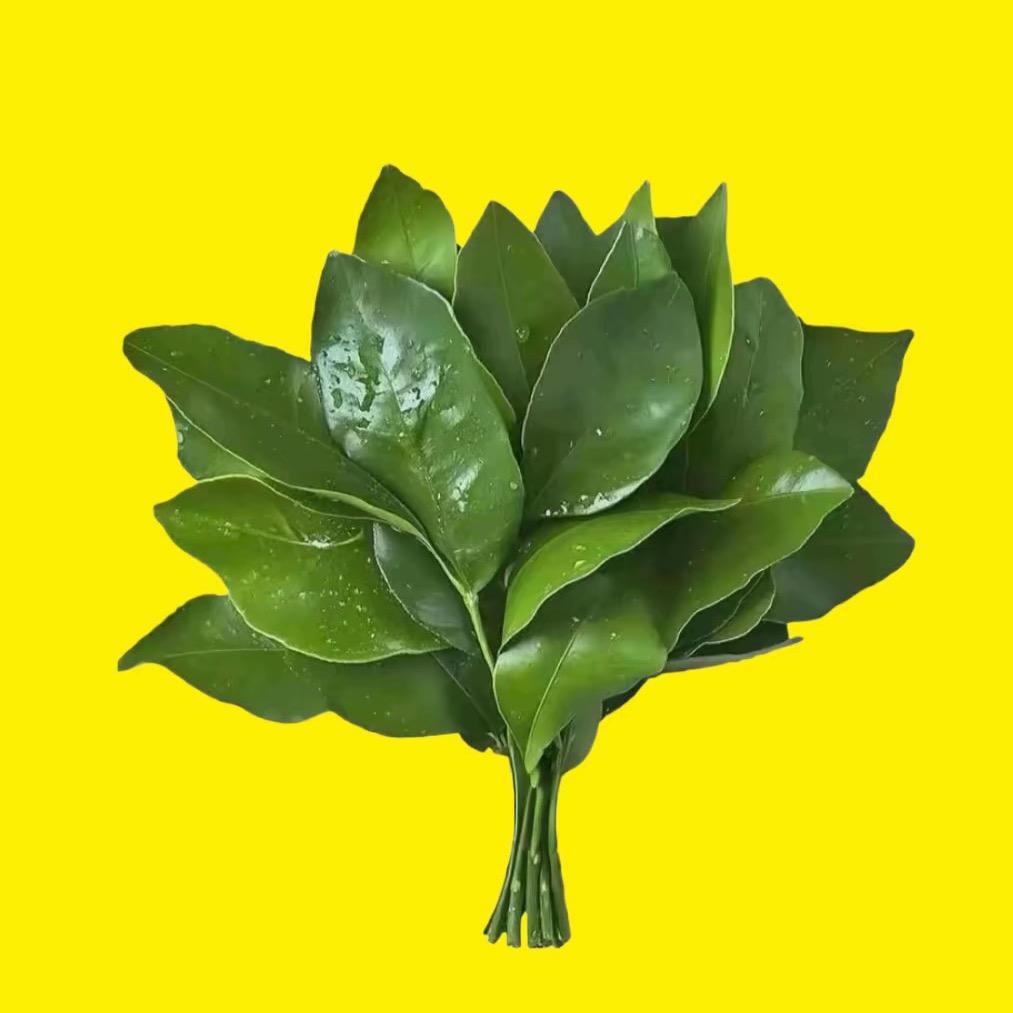 阿眠🌙
