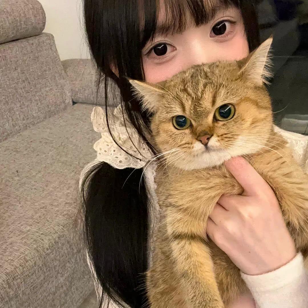 粘人小猫