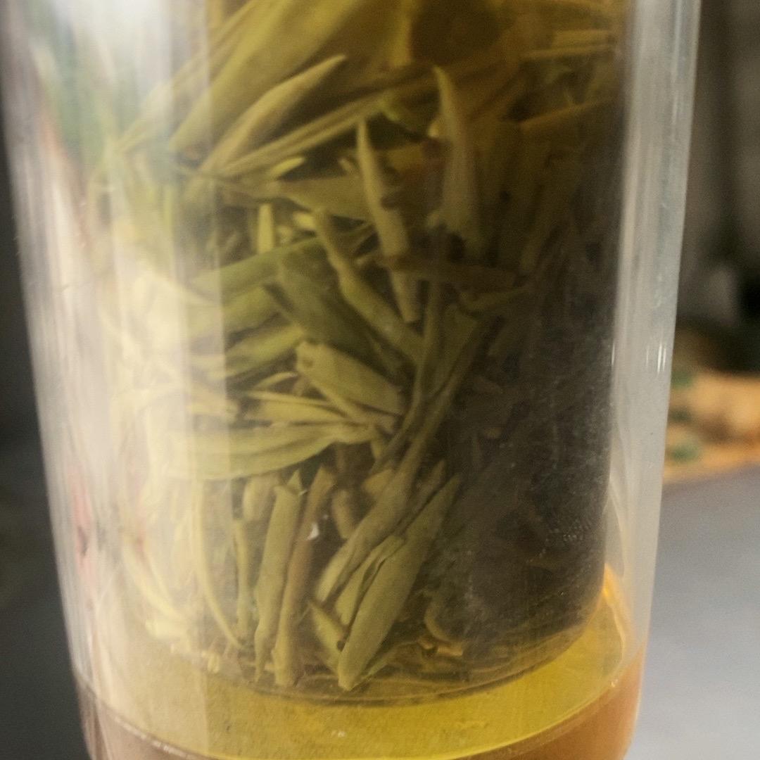 杨铭浩
