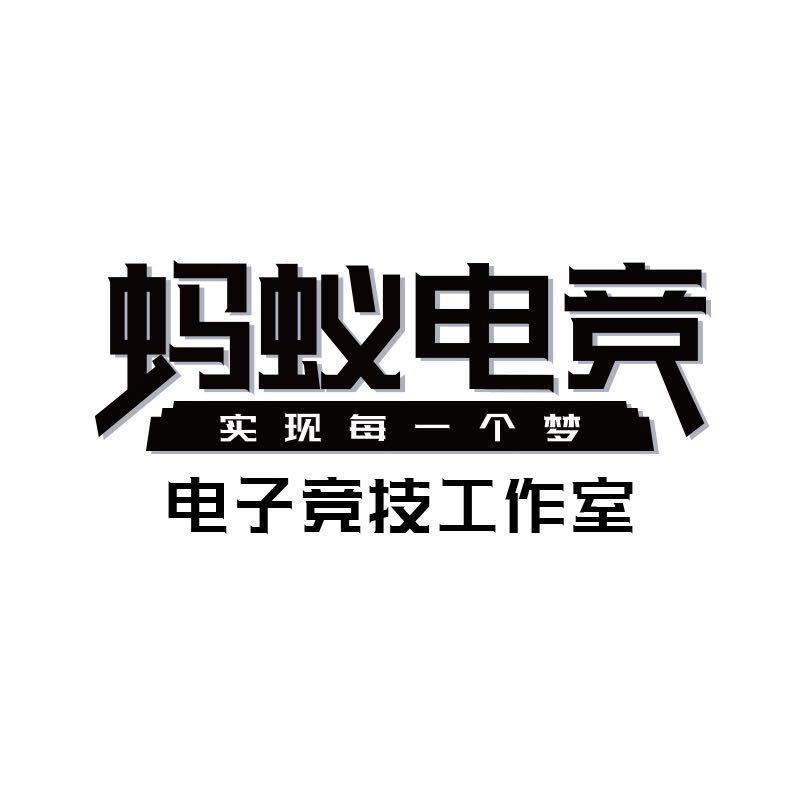 蚂蚁电竞工作室