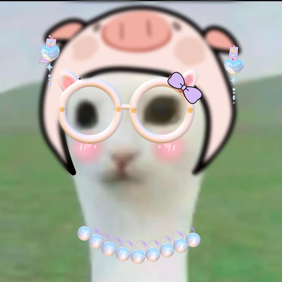 至尊喵