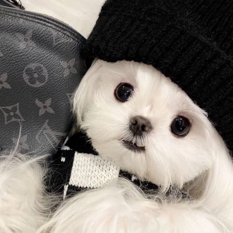 Lxxxxxh.（武汉豪车租赁）