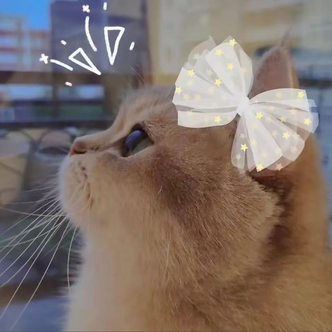 想念