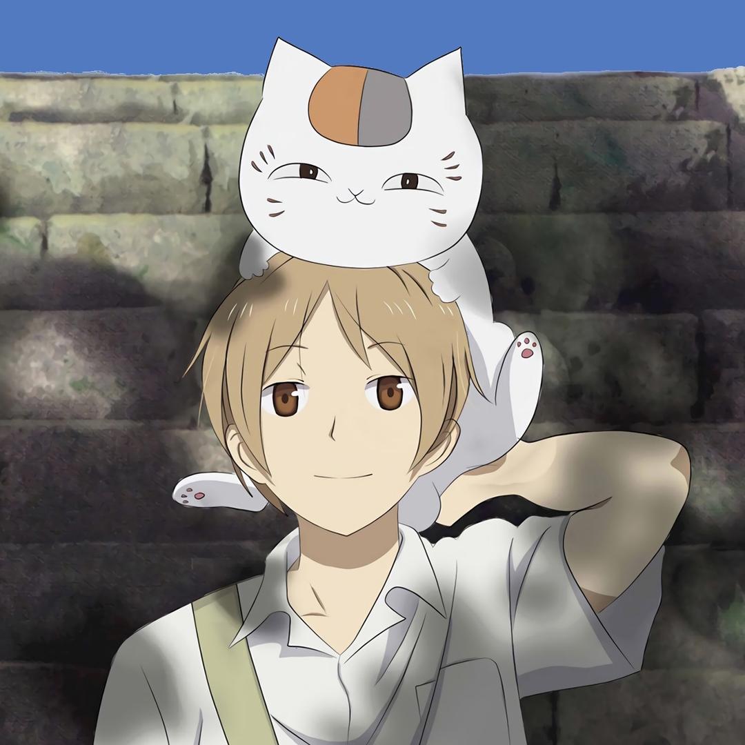 别给猫吃巧克力