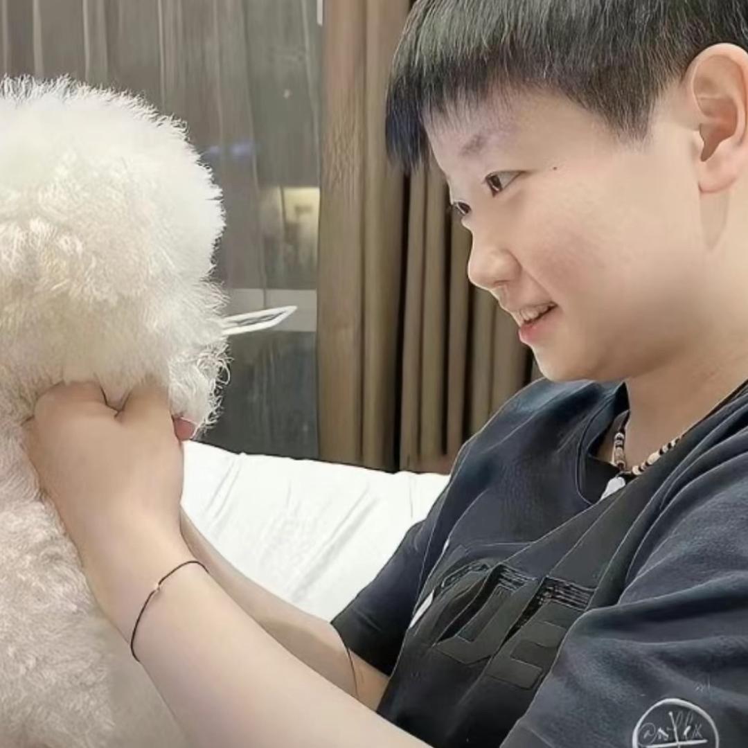 🏵️｜见过酸甜版
