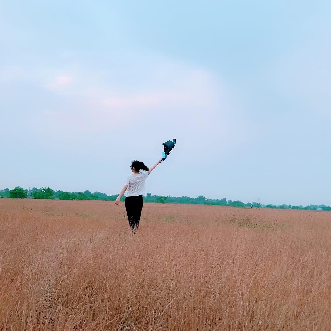 丁丁紫