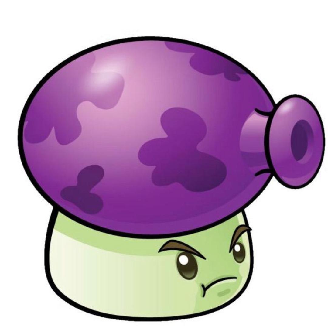 🟣🟣🟣