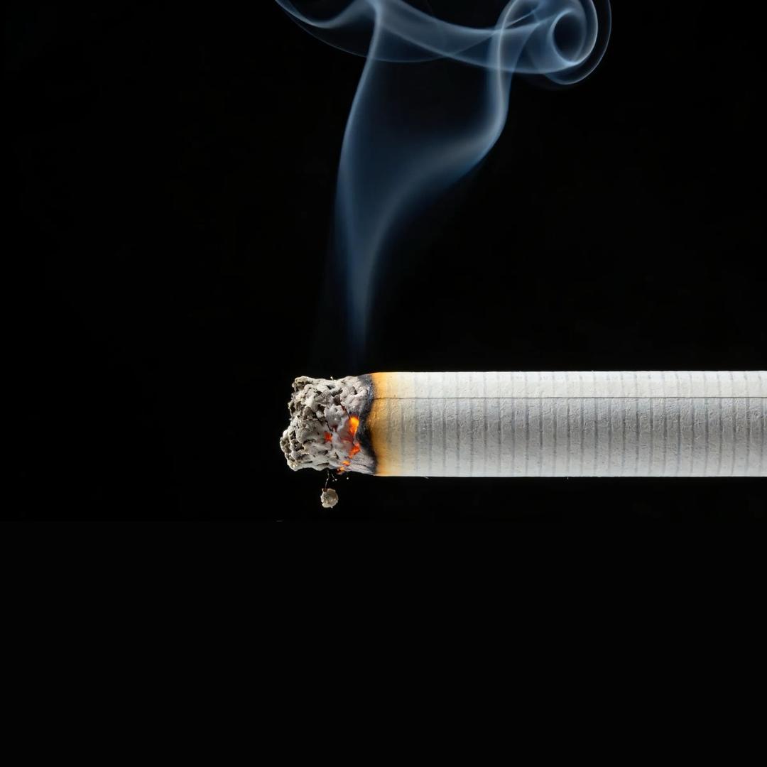 🚬雪茄🚬