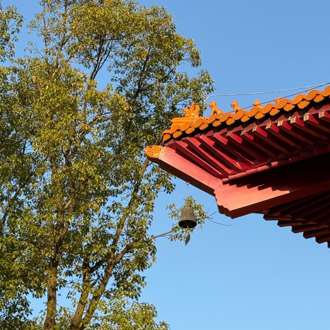 钓氏渔具创始人蘑菇头