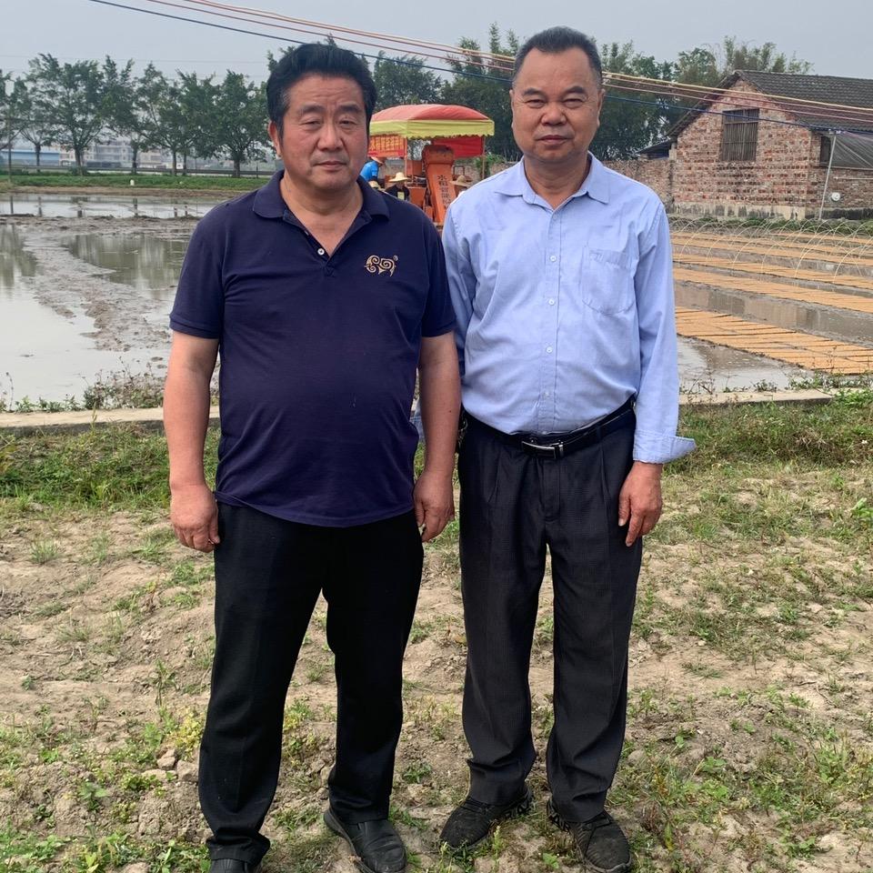 树锋农业