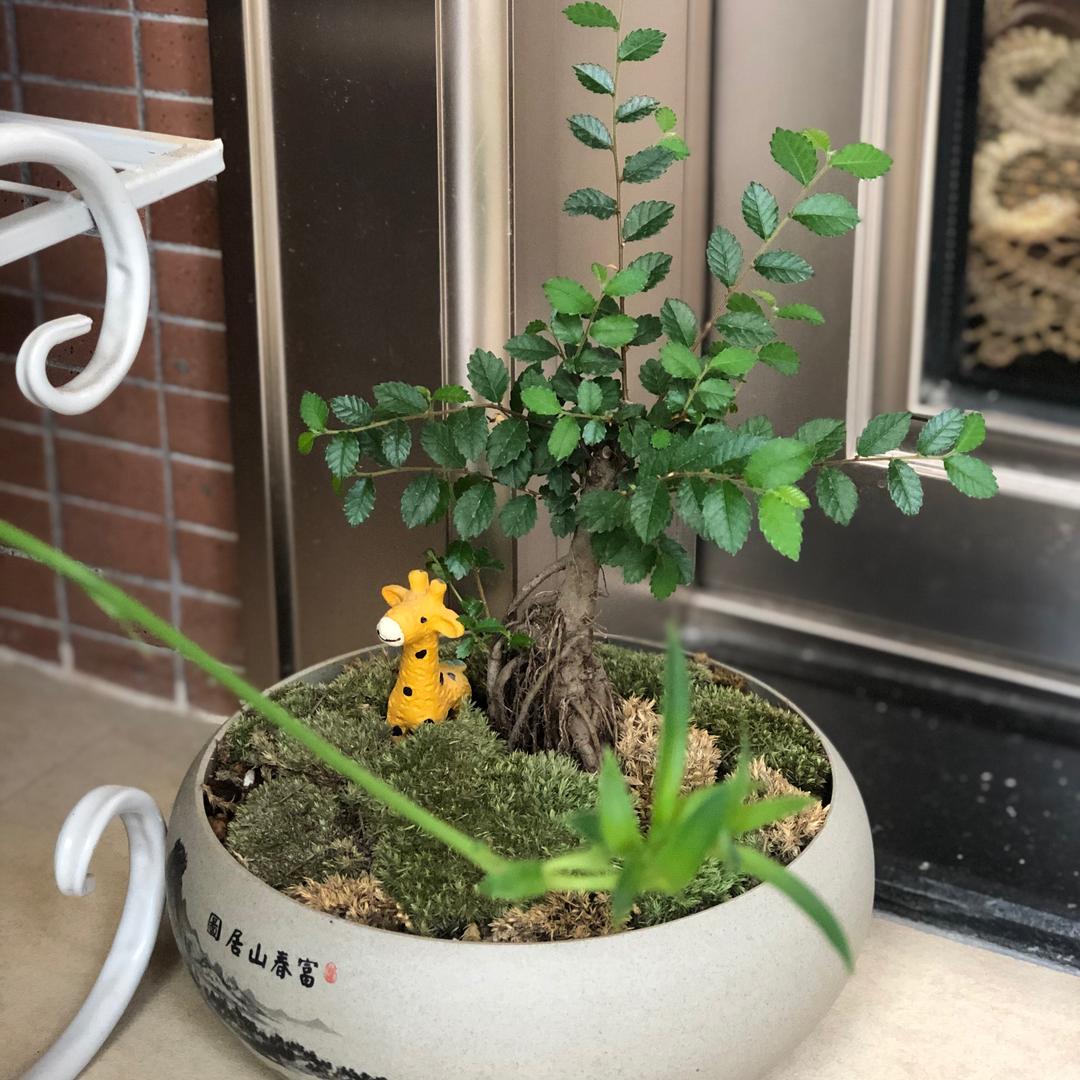 一起成长⁹⁸⁵