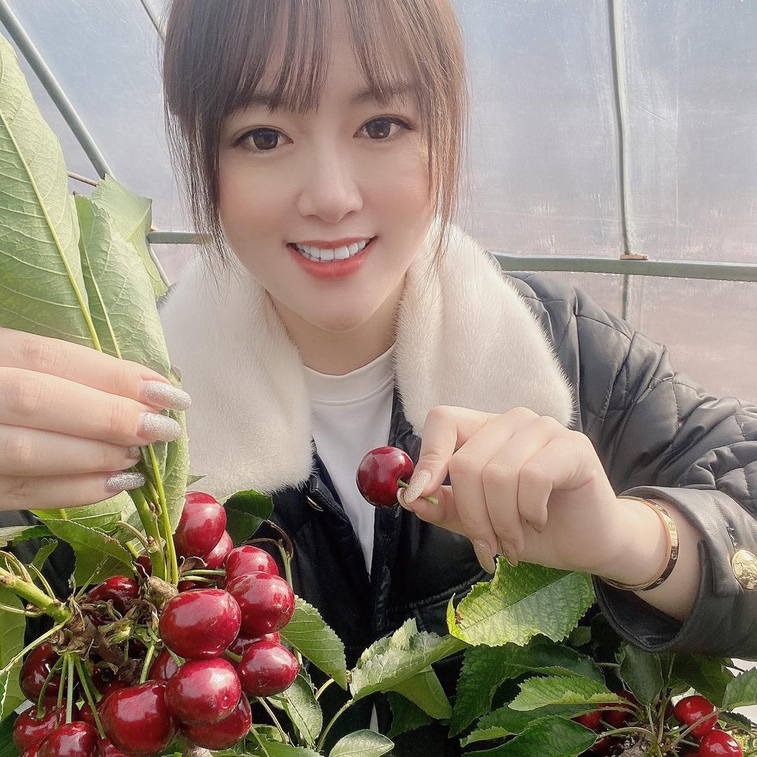 果森水果供应链