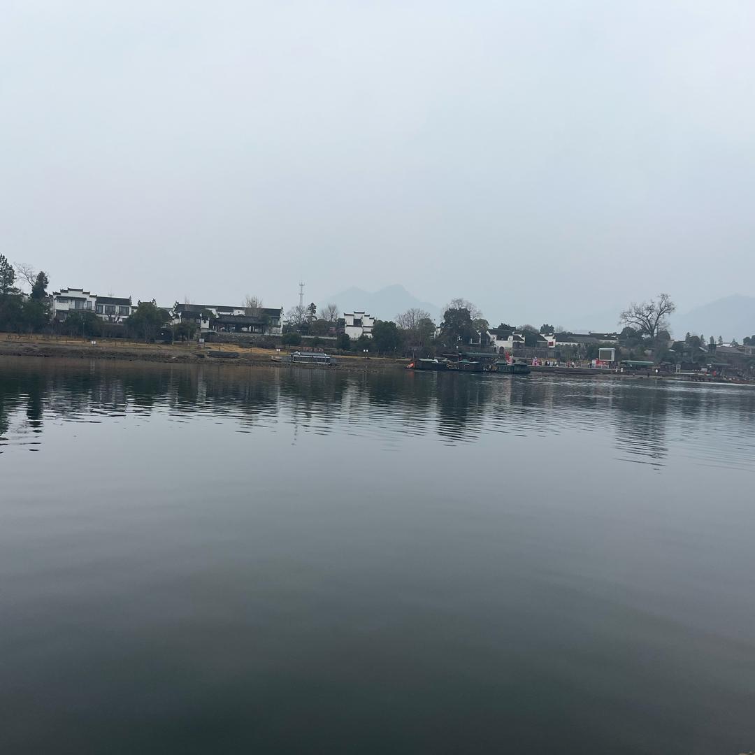 王京京