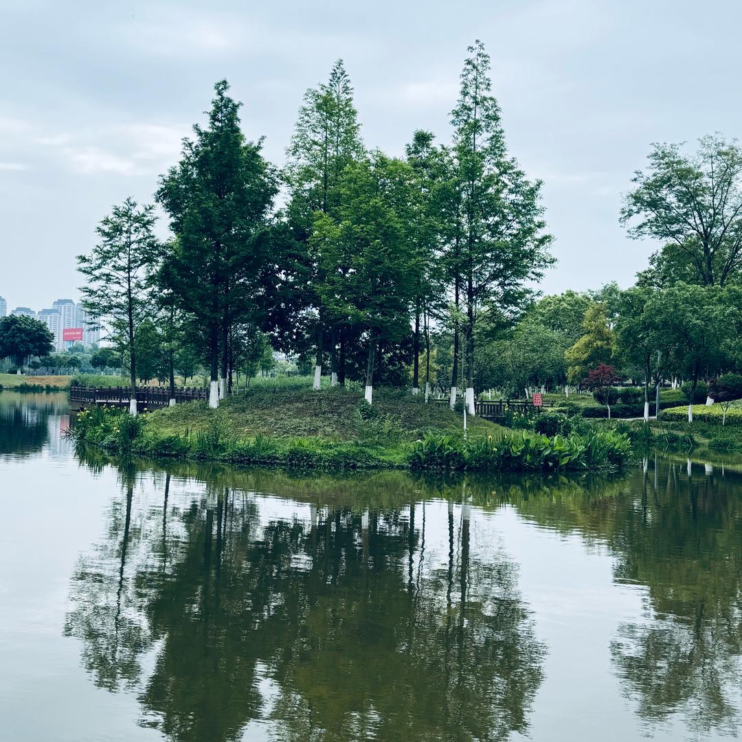 创业无忧