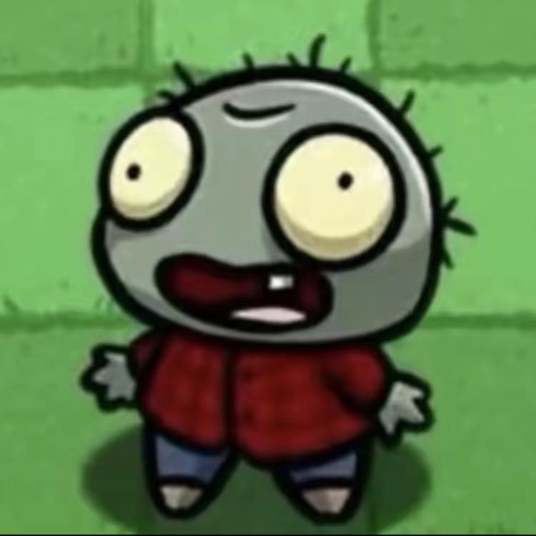 子琪