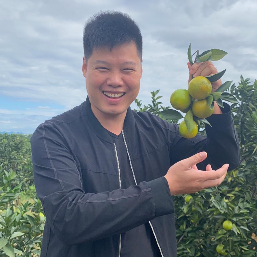 龙州红糖沙糕