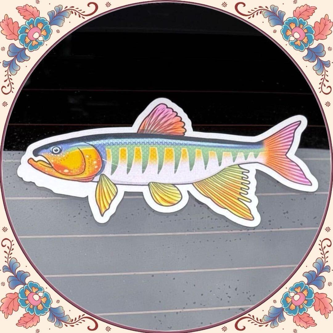 与蓝共舞玩路亚