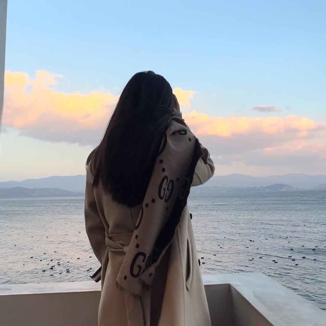 芝士肉松草莓麻薯糯糯婕