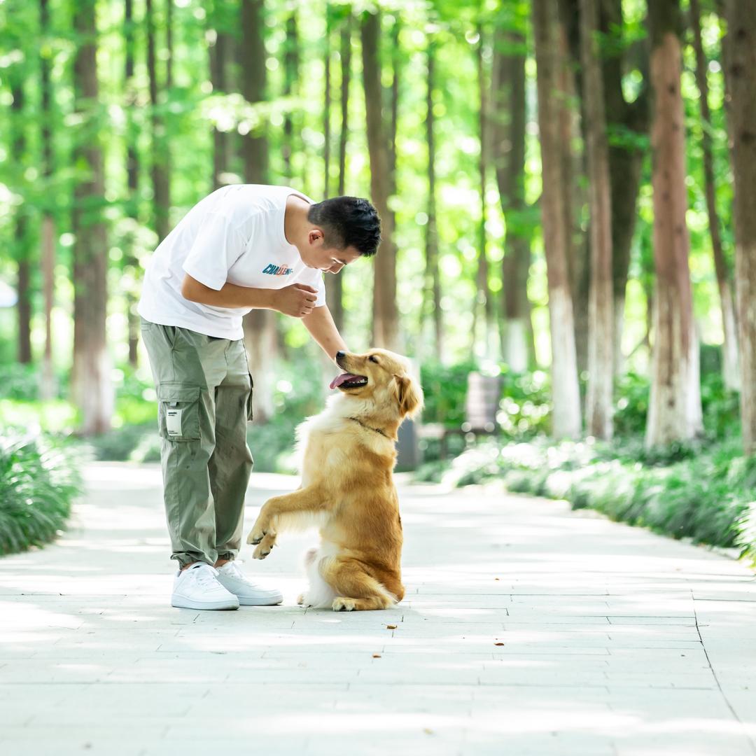 胖东教定点