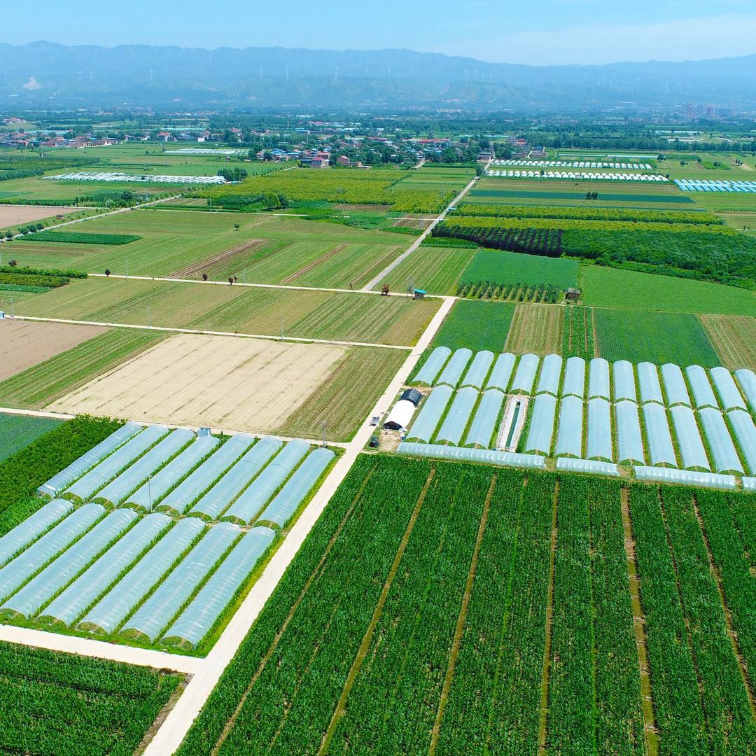 基本农田查一查