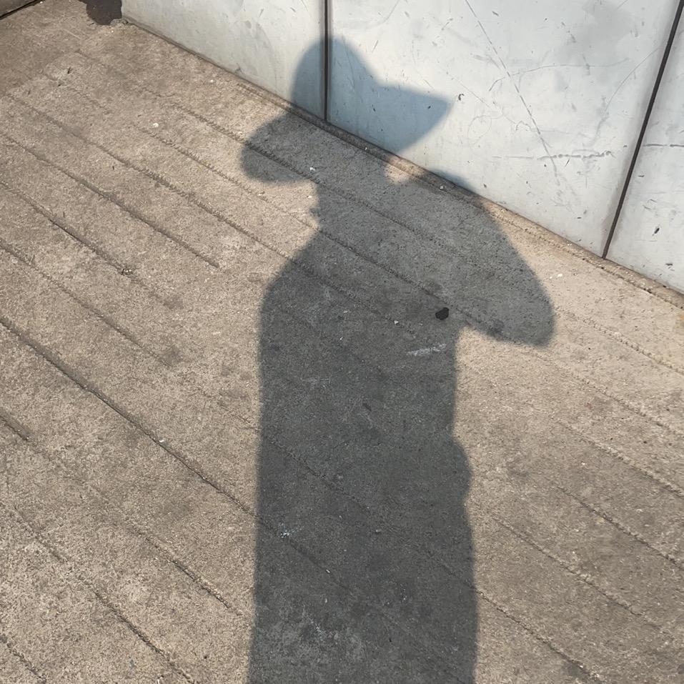 _Xin_