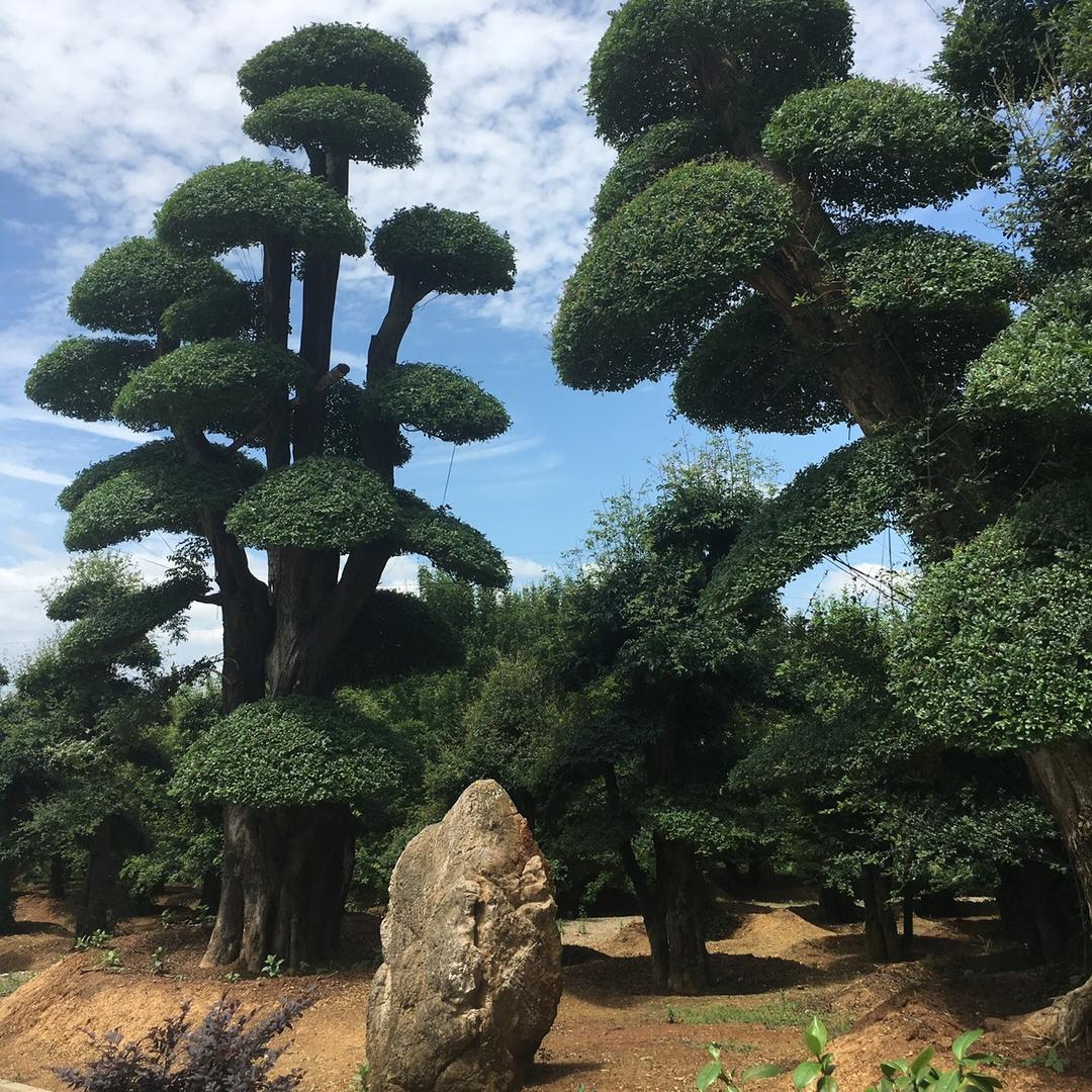 灯火阑珊