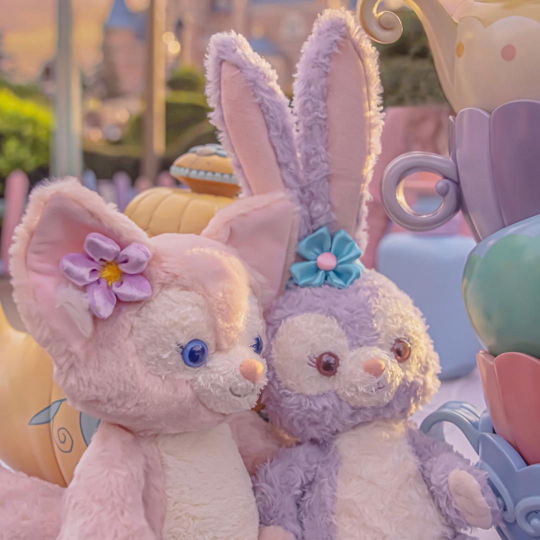 东迪搬运小能手（看简介）