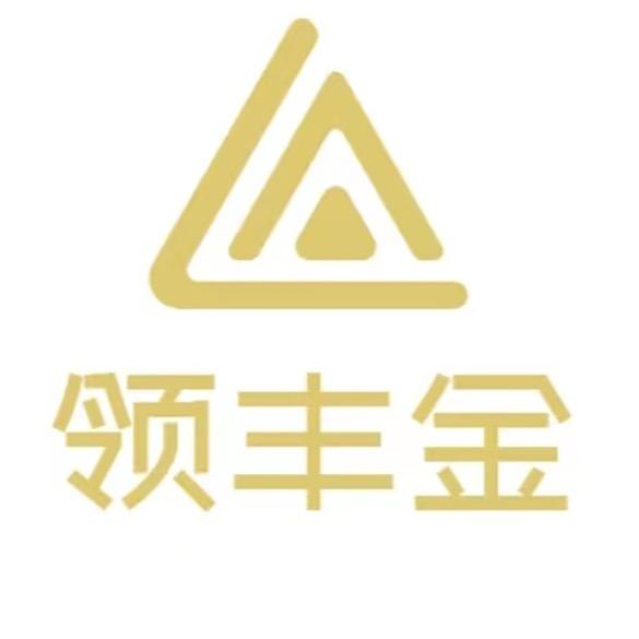 领丰金严选