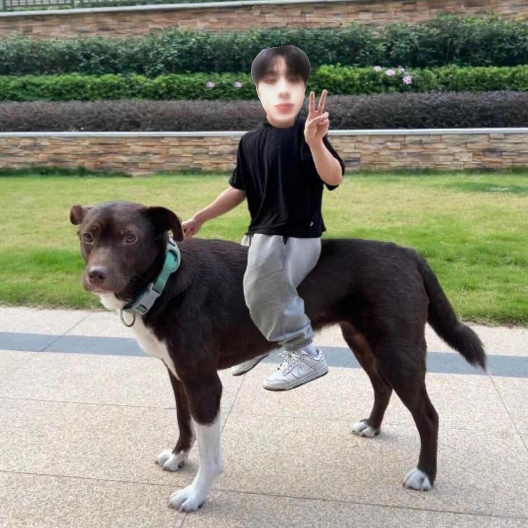 ๑煮国的花朵๑