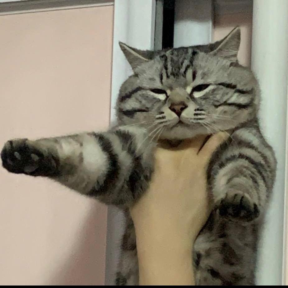 阳仔不想打工