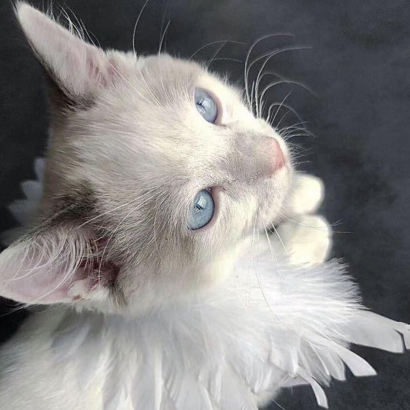 Cloud