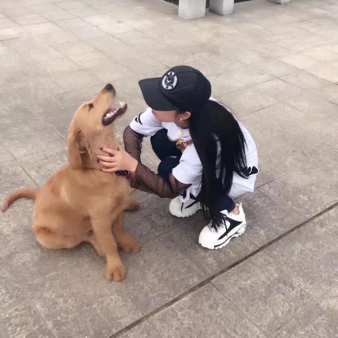 萝卜头特色牛肚