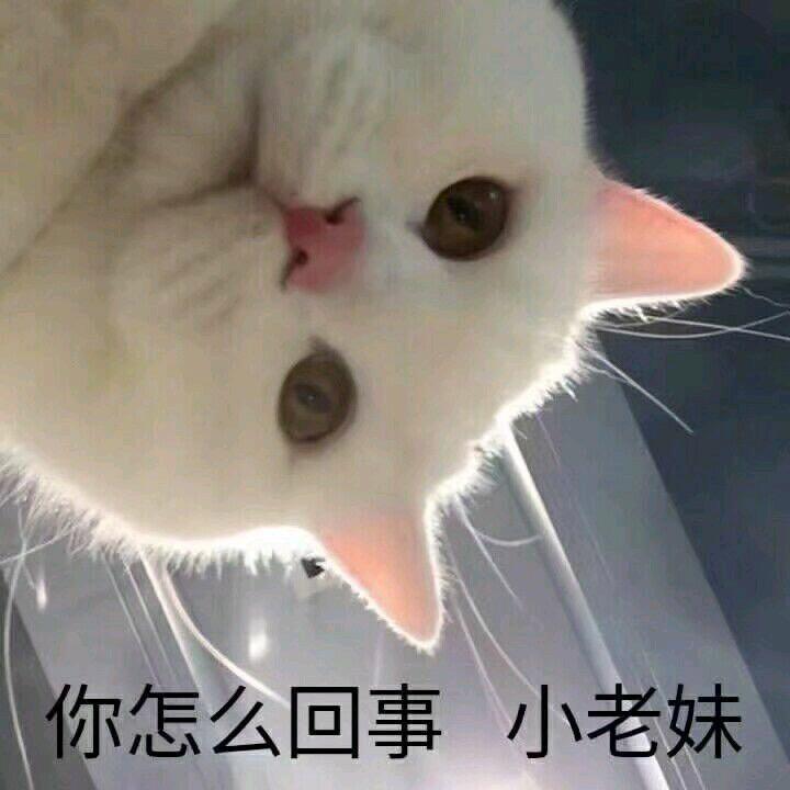 不想取名
