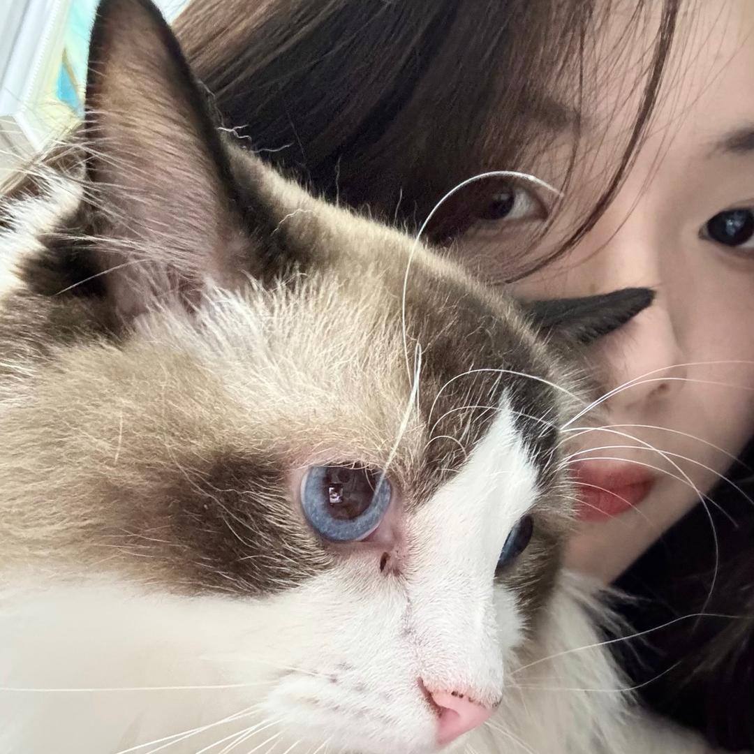 小婕界界