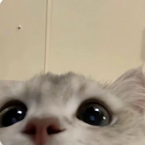 yyyyyyyyyy..