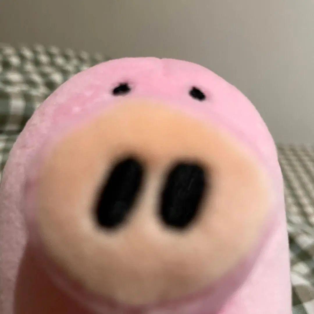 仙人掌给鲸鱼针灸🎀