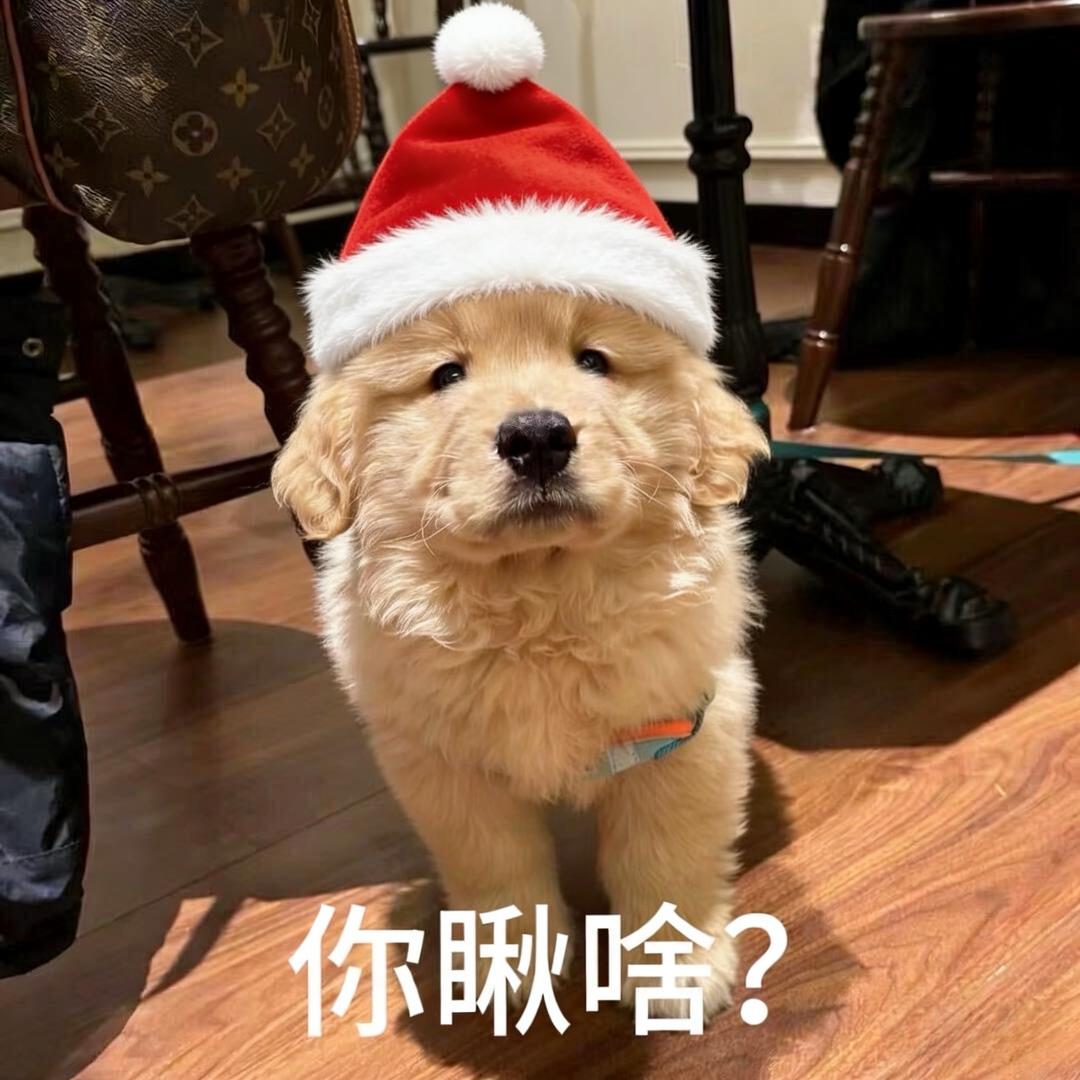 没有什么能让我快乐了