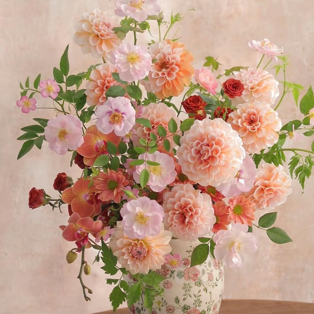 云间拾风的头像