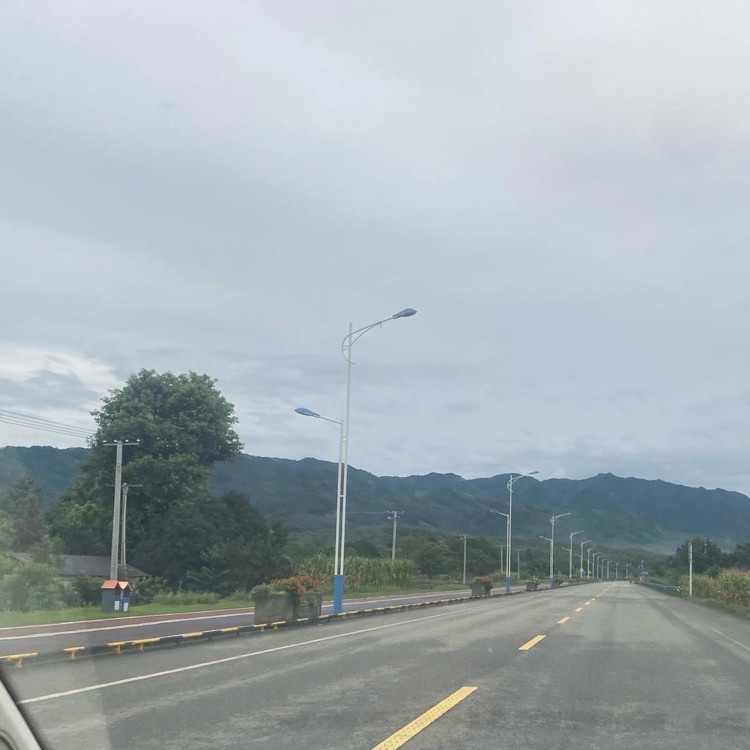 @@温柔一刀🎋🎋🎋