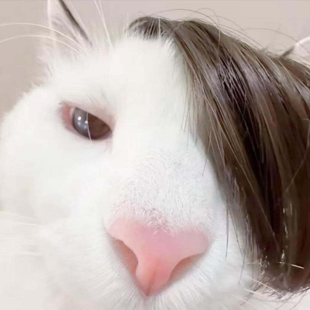 周周