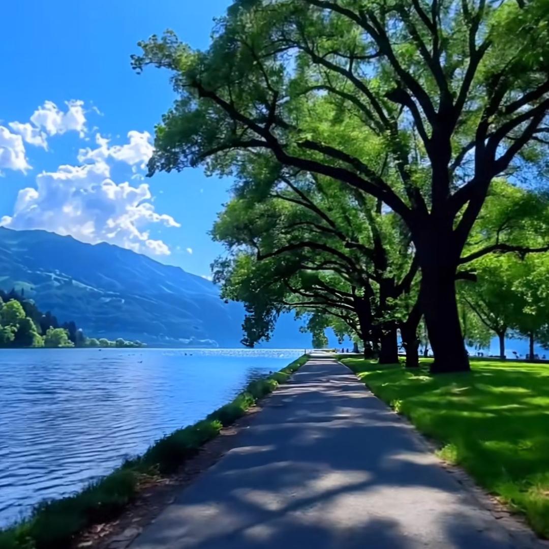 3 月🧎‍♂️‍➡️👩‍🦯