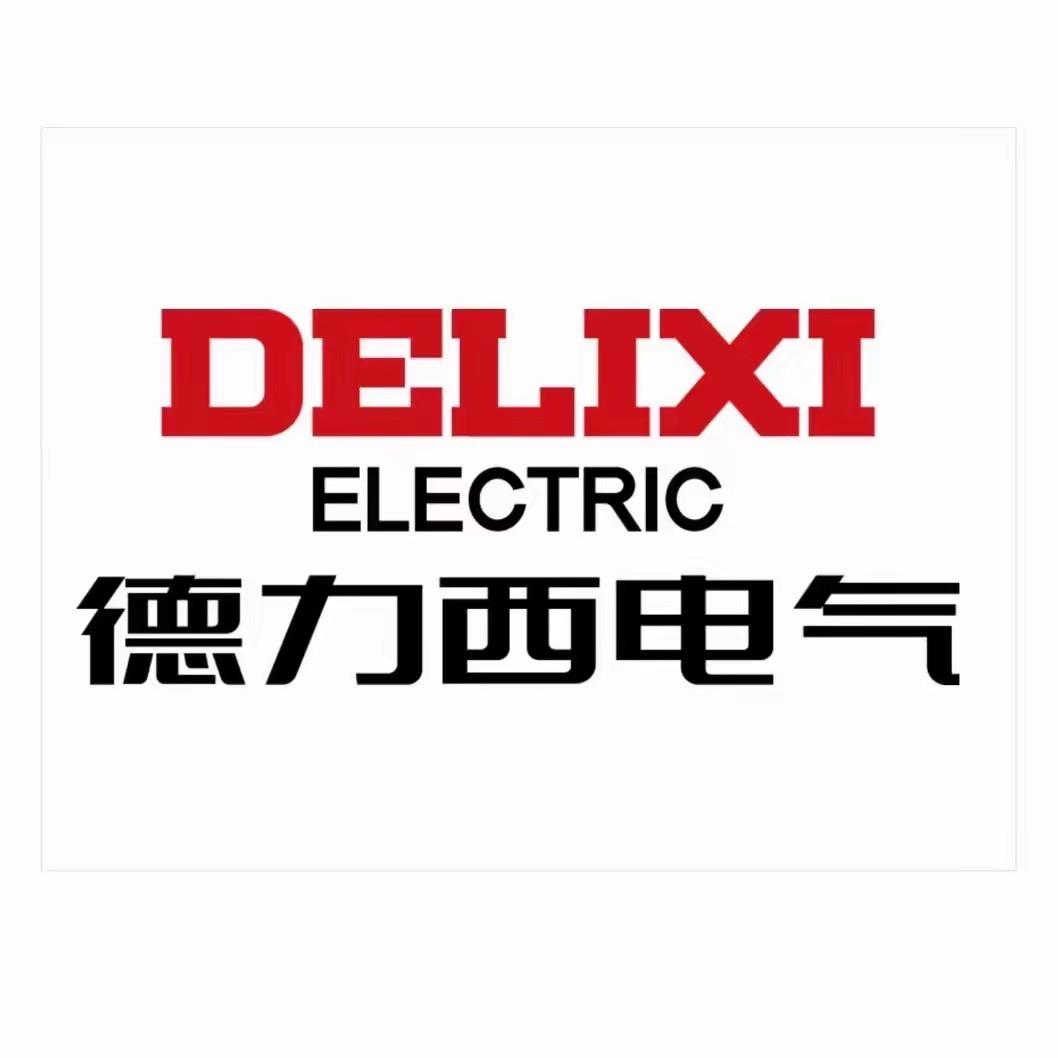 德力西电气泵业