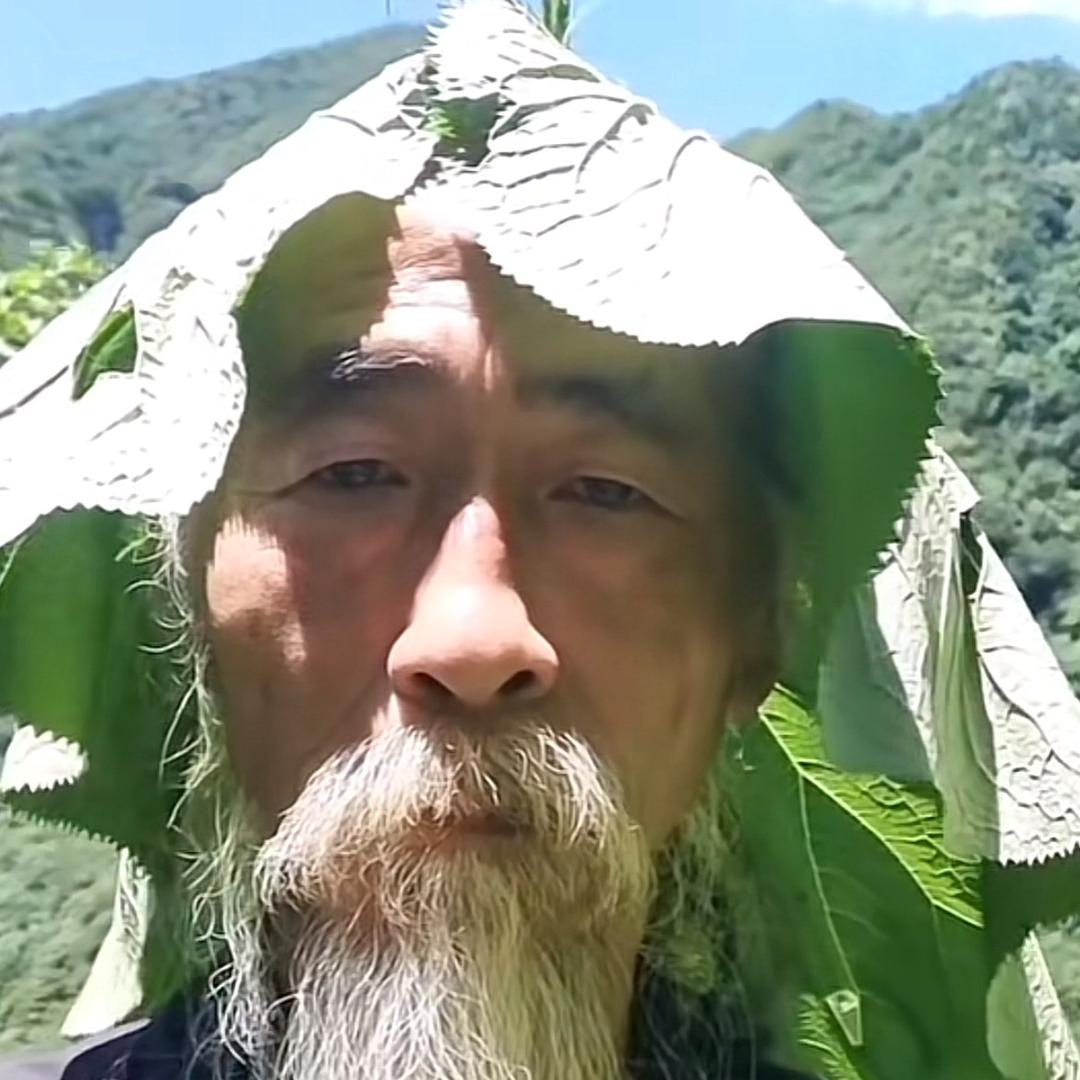 龙猫