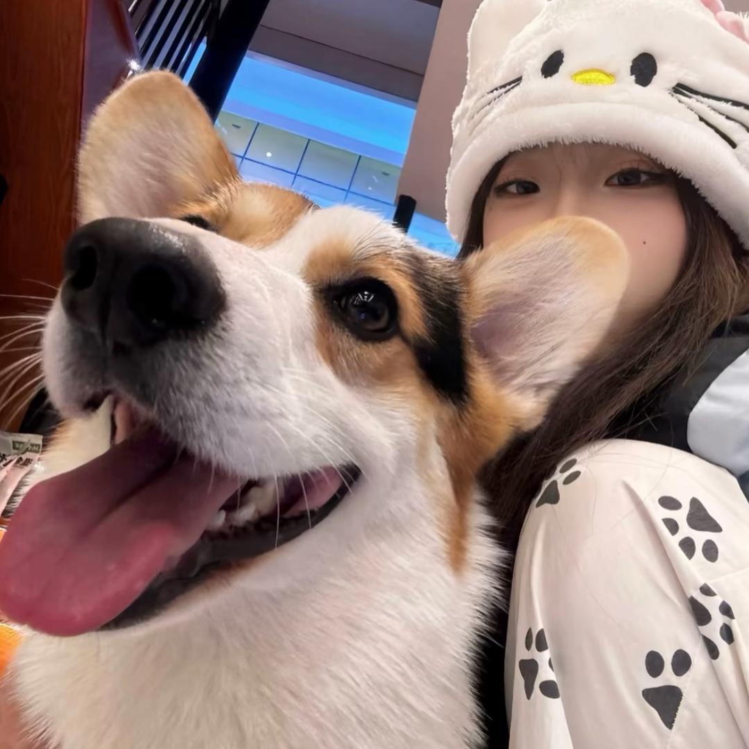 我是睡觉大王💤